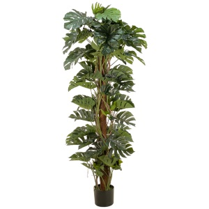 MONSTERA DECOR 53X53X200CM